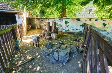 Zámek Doudleby nad Orlicí_Radek Habada 