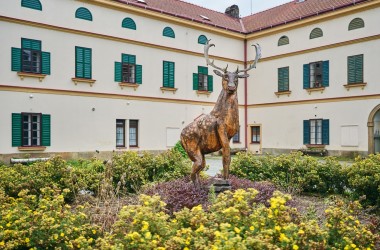 Pałac Kvasiny_Radek Habada