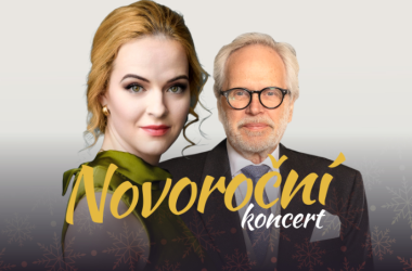 Snímek obrazovky 2025-10-31 145949