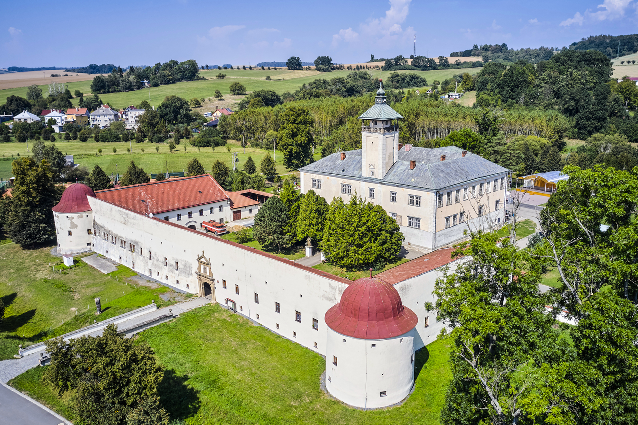 Zamek Dřevohostice