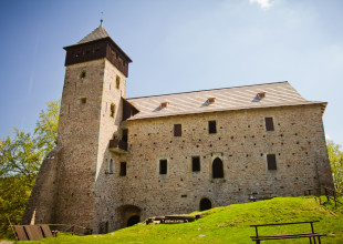 The Litice Castle