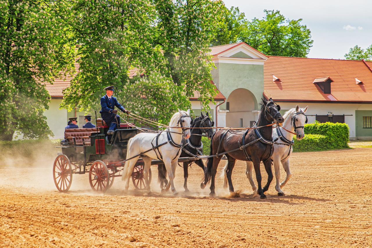 Komentovaná vyjížďka Krajinou UNESCO