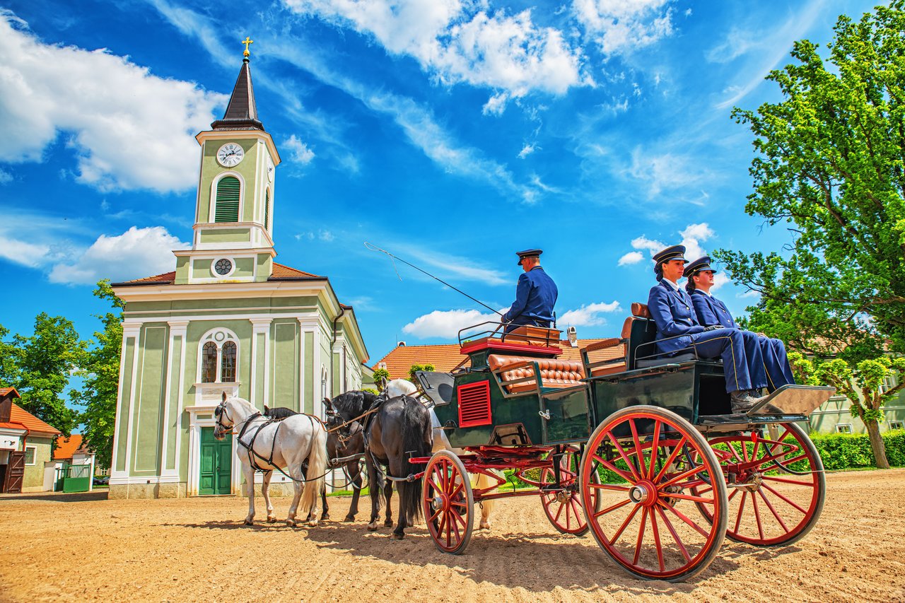 Mezinárodní závody spřežení Kladruby