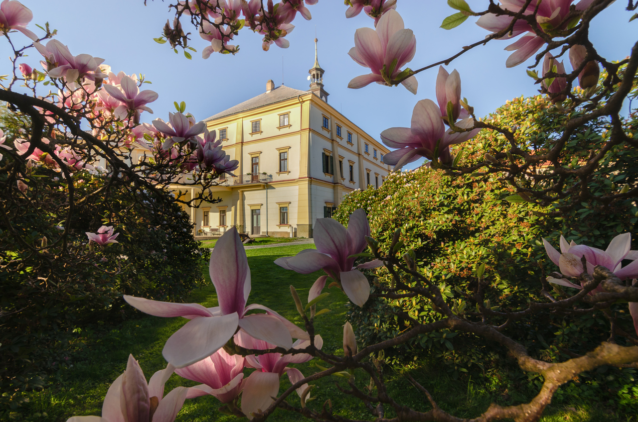 Výstava 16. Betlémy na zámku
