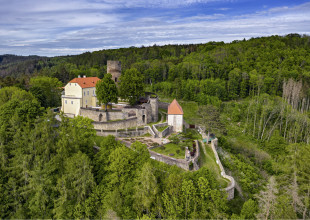 Řezbářské dny na hradě Svojanov