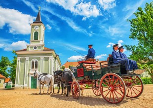 Mezinárodní závody spřežení Kladruby