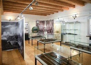 Zmatené peníze - výstava