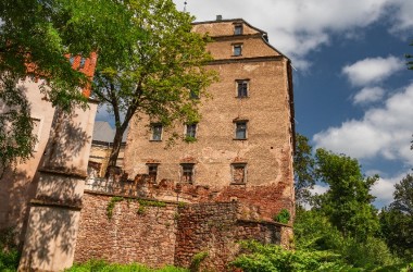 Sarny Castle